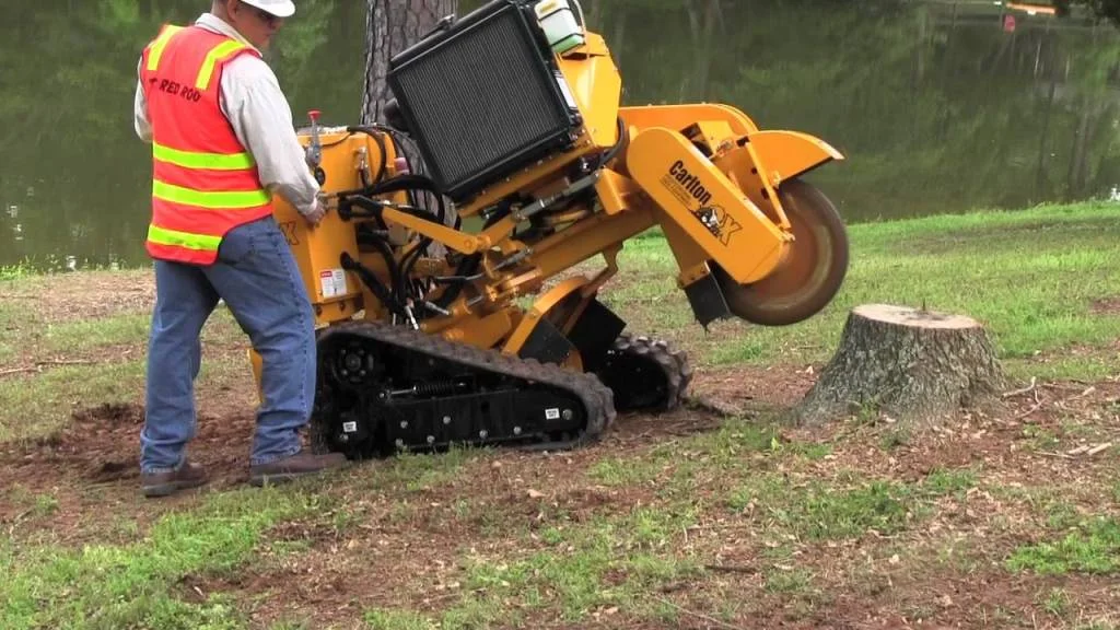 image of worker doing the  tree cutting and removal service Stuart Florida