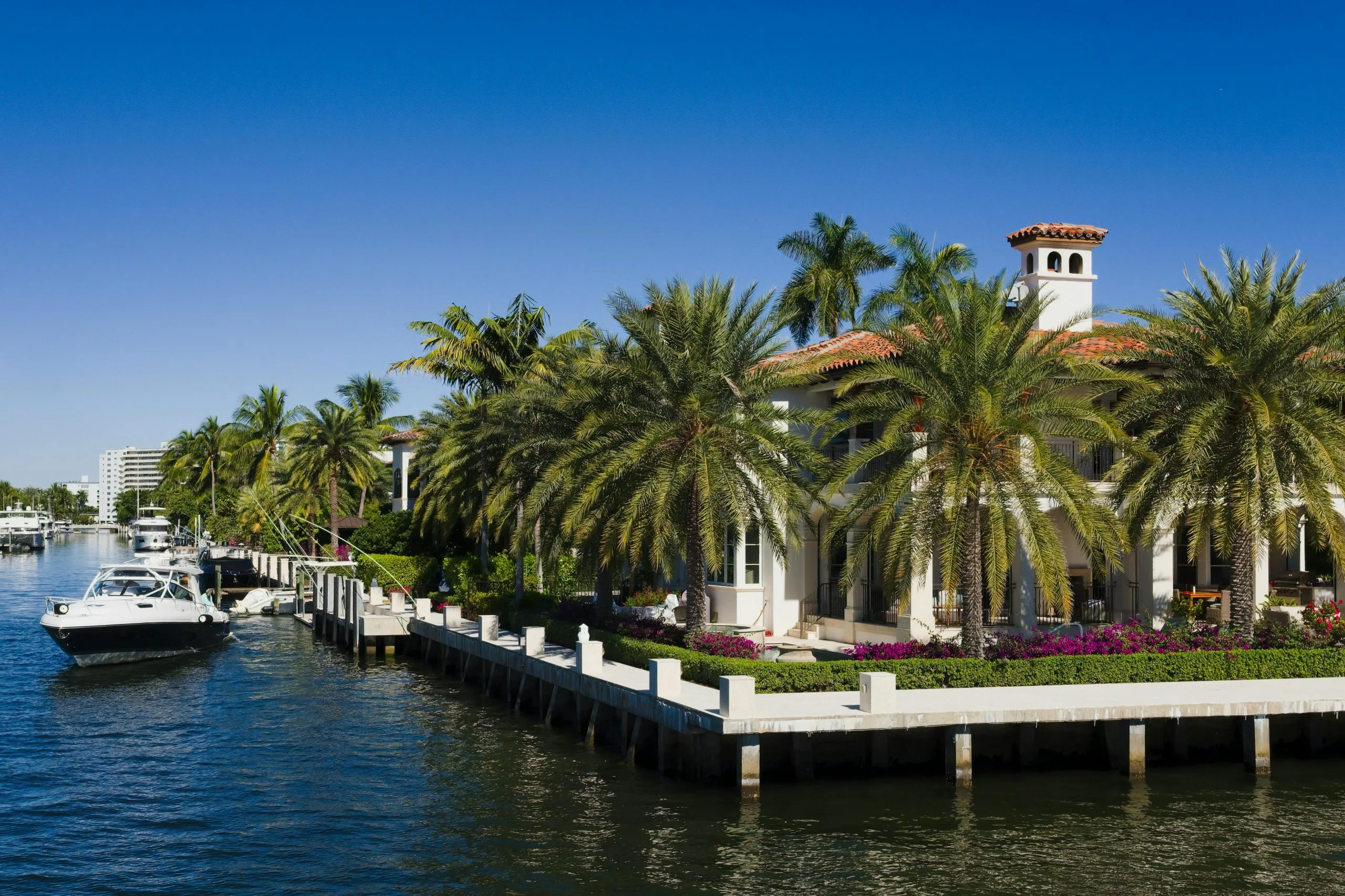 image of area after the tree cutting and removal service Stuart Florida is done